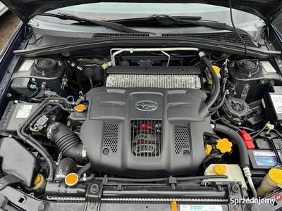 Używany Subaru Forester 2005 SUV