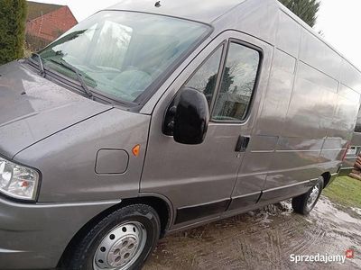 Używany Fiat Ducato 2003 Van