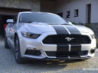 używany Ford Mustang 