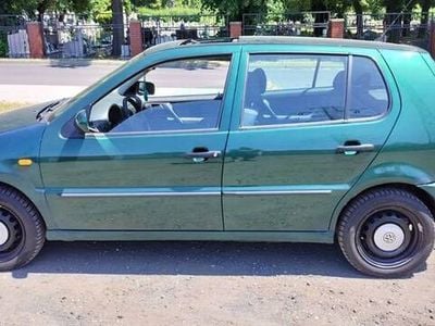 VW Polo