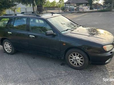 używany Nissan Primera 