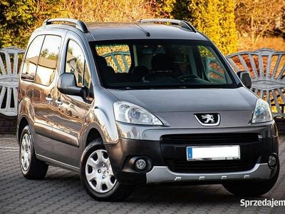 Używany Peugeot Partner 109 KM (80 kW) 2008 Minivan