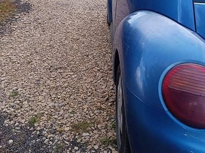 VW Beetle