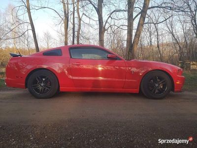 Czerwony Używany 2014 Ford Mustang Coupe | 60 000 zł