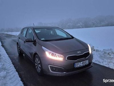 używany Kia Ceed 1.6 benzyna, bezwypadkowy, salon polska, bogate wyposażenie