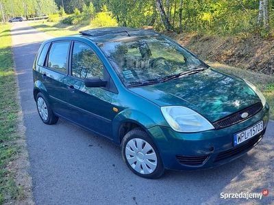 Używany 2003 Ford Fiesta | 4500 zł (Drogi)