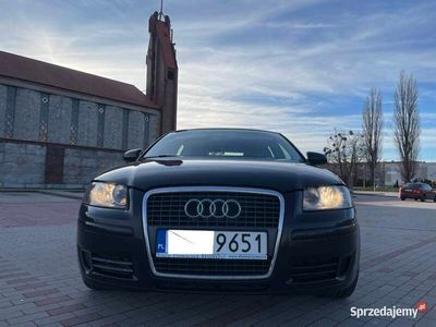 używany Audi A3 Sportback 8p 1.9tdi 5 drzwi zarejestrowany okazja