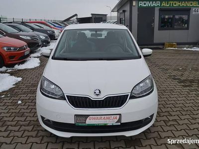 Biały Używany 2019 Skoda Citigo Hatchback | 22 500 zł (Uczciwa cena)