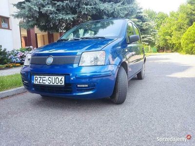 używany Fiat Panda 