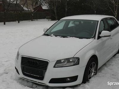 Używany Audi A3 2010 Biały Hatchback