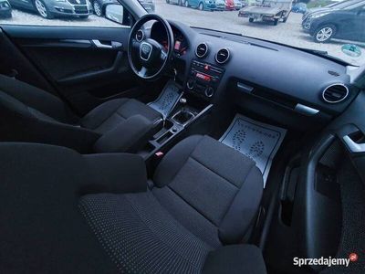 Używany 2005 Audi A3 | 18 500 zł (Drogi)
