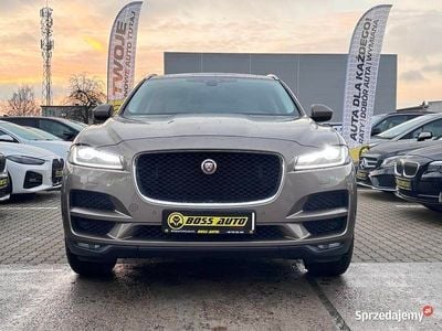 Brązowy Używany 2017 Jaguar F-Pace SUV | 99 000 zł