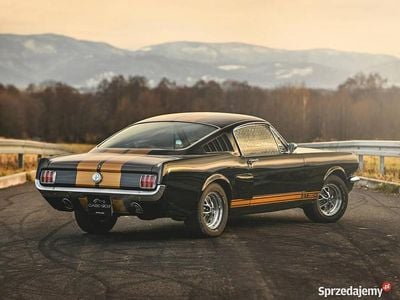 używany Ford Shelby Mustang Fastback '66 - pełna renowacja, replika GT350H