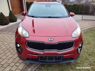 Używany Kia Sportage 2016 Bordowy SUV