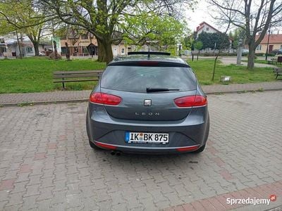 używany Seat Leon – dynamiczny i oszczędny, bogate wyposażenie