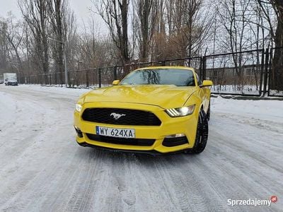 Używany Ford Mustang 2015
