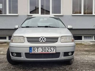 VW Polo