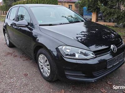 używany VW Golf Golf1.2 tsi Bewypadek HAK Servis