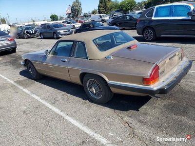 Używany 1987 Jaguar XJS | 26 300 zł
