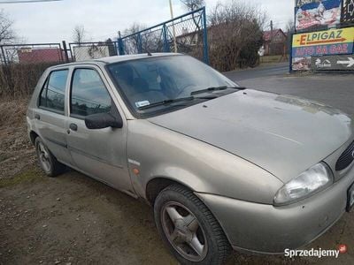 Używany 1999 Ford Fiesta Hatchback | 1300 zł