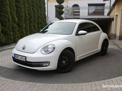 VW Beetle