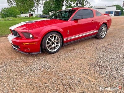 Używany 2007 Ford Mustang | 105 000 zł