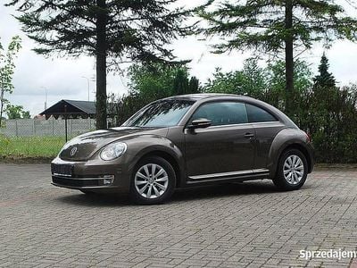 VW Beetle