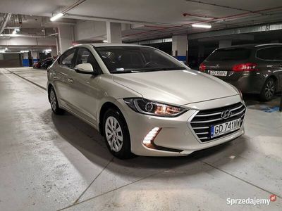 używany Hyundai Elantra 