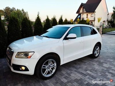 Używany 2012 Audi Q5 S-Line SUV | 67 000 zł (Dość drogi)