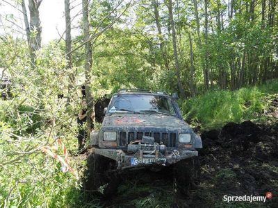 używany Jeep Cherokee 