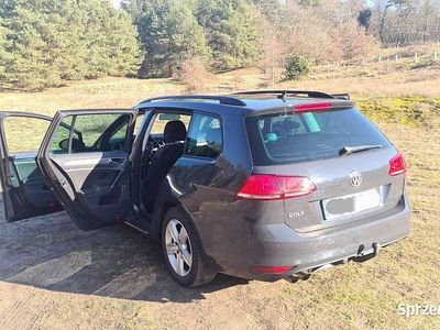 VW Golf VII