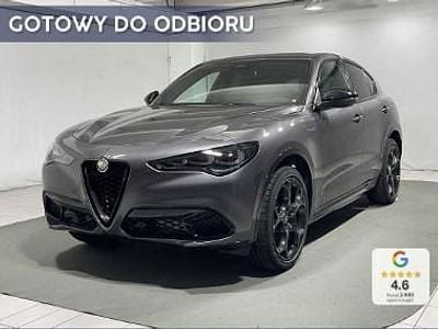 Szary Nowe 2025 Alfa Romeo Stelvio Veloce SUV | 245 200 zł