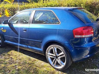 Używany 2004 Audi A3 | 1000 zł