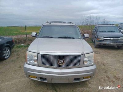 używany Cadillac Escalade 