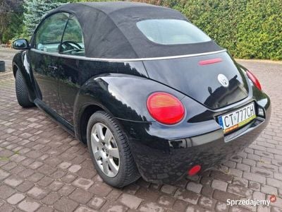 VW Beetle