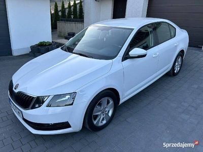 używany Skoda Octavia 