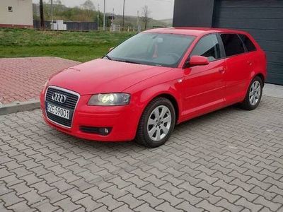 używany Audi A3 8P * Boss* Alcantara