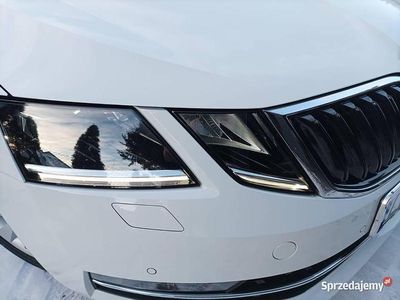 Używany Skoda Octavia Style 2017 Biały Sedan/Limuzyna