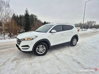 Używany Hyundai Tucson 2016 Biały SUV