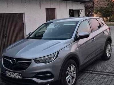 Używany Opel Grandland X 131 KM (96 kW) 2020 Szary SUV