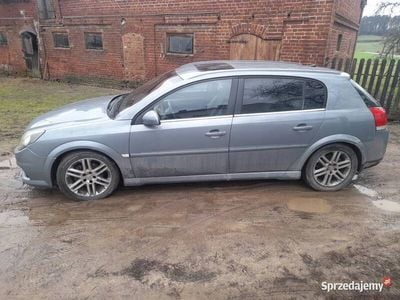 Opel Signum