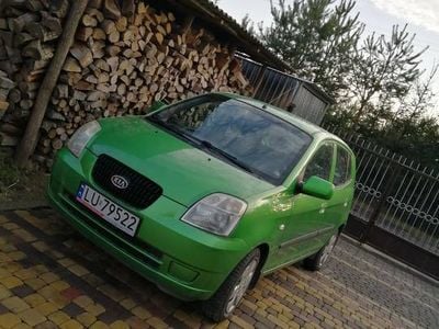 Zielony Używany 2004 Kia Picanto Hatchback | 3500 zł (Dość drogi)