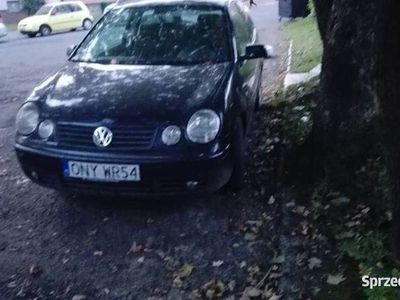 VW Polo