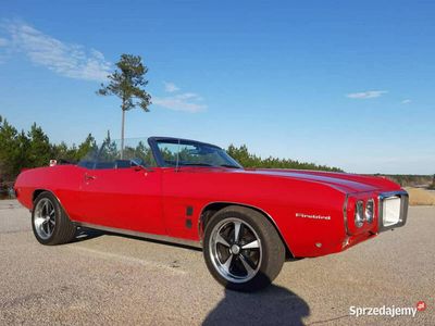 używany Pontiac Firebird / Trans Am Convertible 1969 poszukiwany mu…