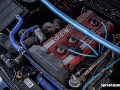 Używany 1991 Ford Sierra | 128 000 zł