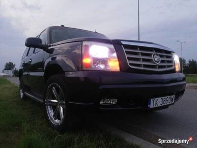 używany Cadillac Escalade Escalade 6.0 Vortec 4x4 LPG KME6.0 Vortec 4x4 LPG KME