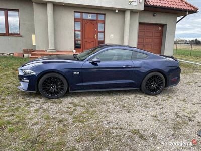 Używany 2019 Ford Mustang | 129 990 zł