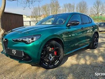 Używany Alfa Romeo Stelvio Ti 280 KM (205 kW) 2024 SUV