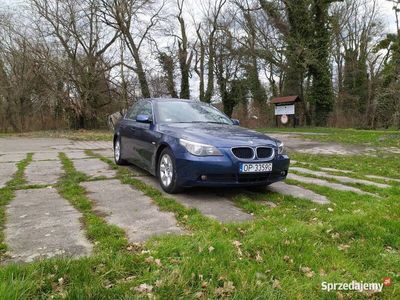 używany BMW 520 e60 i automat