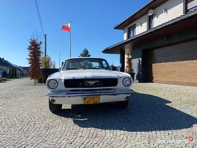 Używany 1966 Ford V8 | 194 500 zł